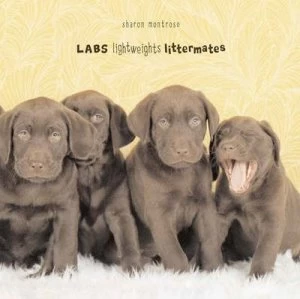 Image of Labs by Sharon Montrose Book