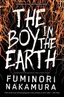 Image of The Boy In The Earth