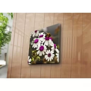 Image of 4545NAT-50 Multicolor Decorative Canvas Painting