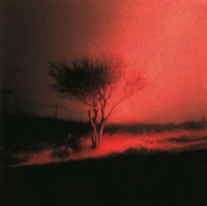 Image of Piss in the Wind CD / Album