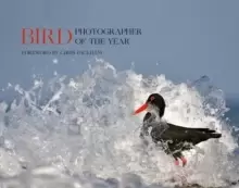Image of Bird Photographer of the Year : Collection 5