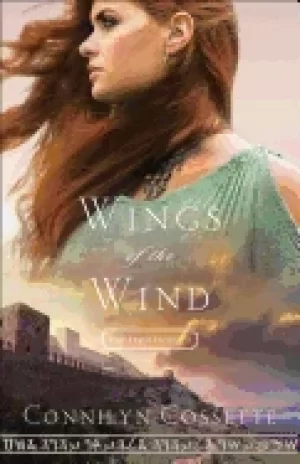 Image of wings of the wind