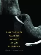 Image of thirty three ways of looking at an elephant
