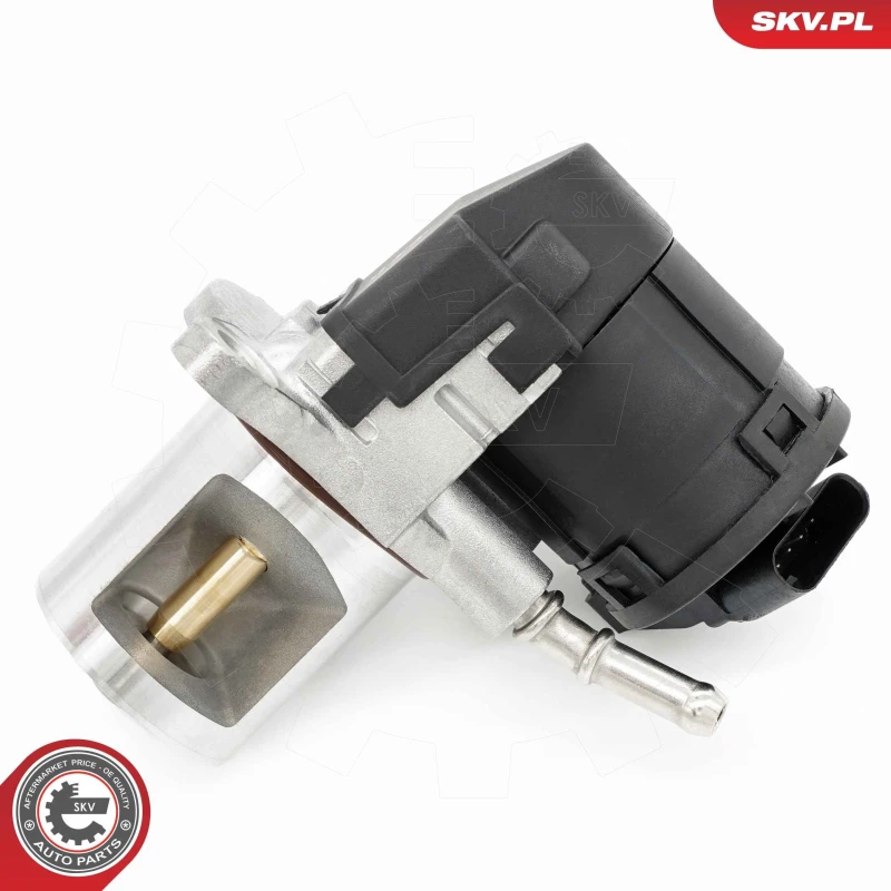 Image of ESEN SKV EGR valve ESEN SKV 14SKV266