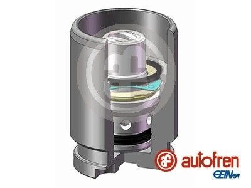 Image of AUTOFREN SEINSA Brake caliper piston AUTOFREN SEINSA D02594K
