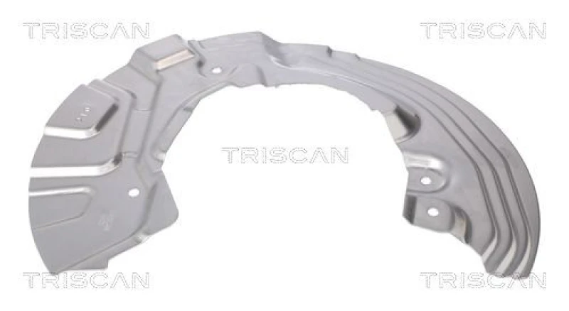 Image of TRISCAN Brake disc backing plate TRISCAN 8125 11119