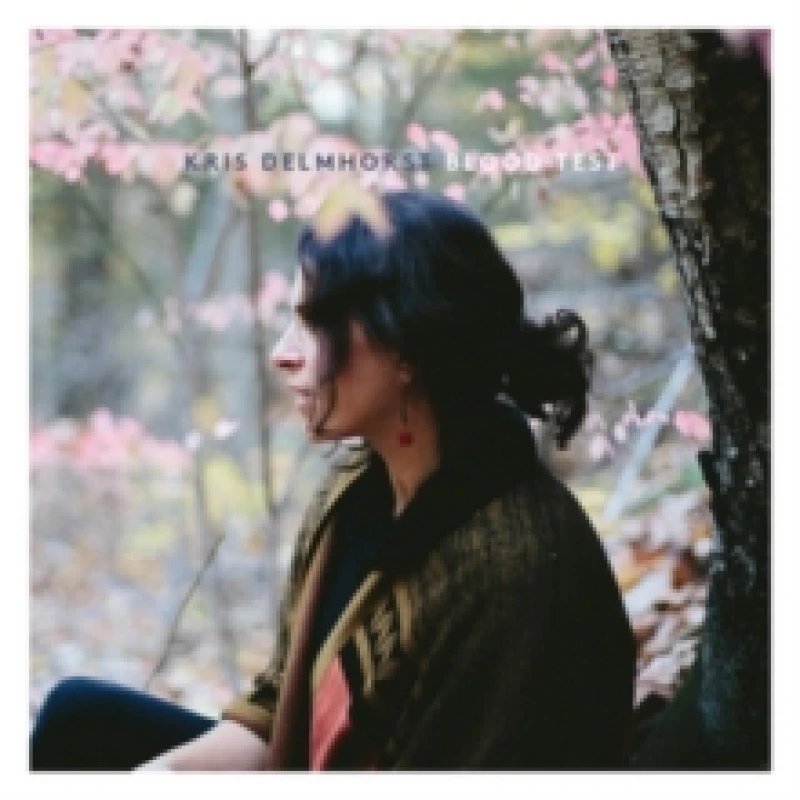 Image of Kris Delmhorst - Blood Test [CD / Album] Music CDs - Music CD