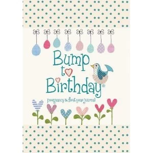 Image of Bump to Birthday, Pregnancy & First Year Journal by Helen Stephens, from you to me (Hardback, 2012)