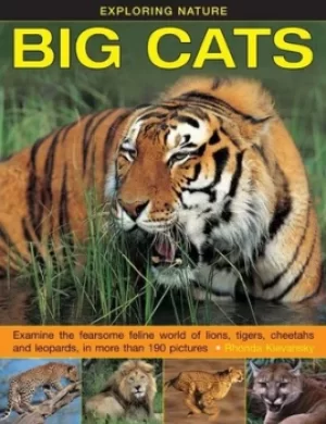 Image of Big cats by Rhonda Klevansky