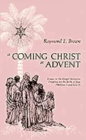 Image of coming christ in advent essays on the gospel narr