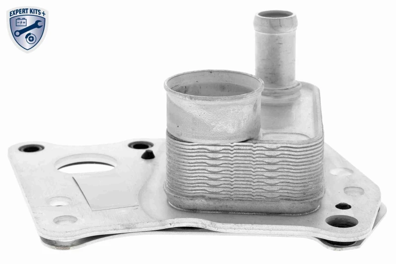 Image of VEMO V30-60-0008 Oil Cooler EXPERT KITS + Oil Cooler,engine oil (469)