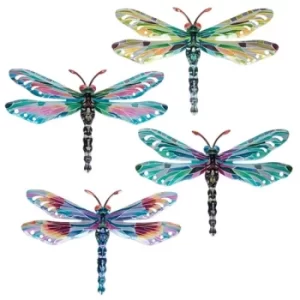 Image of Colourful Dragonfly Medium