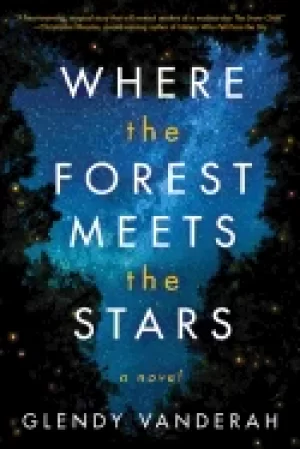 Image of where the forest meets the stars
