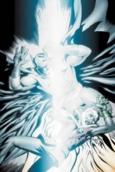 Image of Batman and Robin. Dark Knight vs. White Knight by Paul Cornell and Scott Mcdaniel and Christopher Jones and Peter Tomasi and Patrick Gleason and Judd
