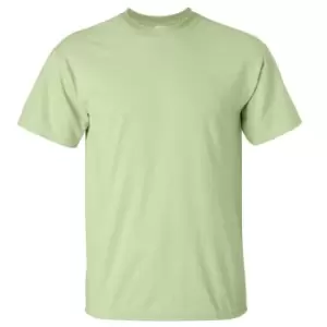 image of Gildan Mens Ultra Cotton Short Sleeve T-Shirt (S) (Pistachio)