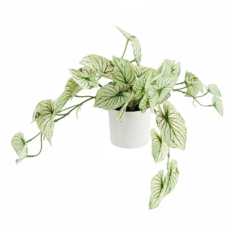 Image of Leaf 30cm Artificial Trailing Plant Variegated Potted Alocasia Green
