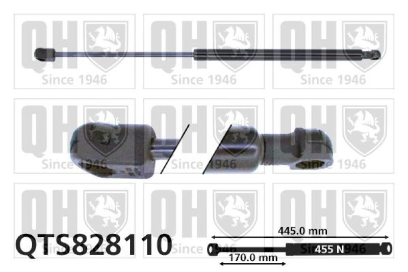 Image of QUINTON HAZELL Tailgate strut QUINTON HAZELL QTS828110