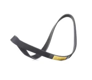 Image of RIDEX V-ribbed belt FORD,FIAT,PEUGEOT 305P0520 55202584,11287795036,05750F 5750E7,5750FS,5750FT,5750J0,5750TZ,5750VL,5750YP,5750ZF,9640115880,5750ZF
