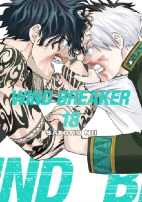 Image of WIND BREAKER 18 Paperback / softback