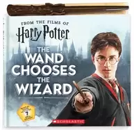 Image of wand chooses the wizard
