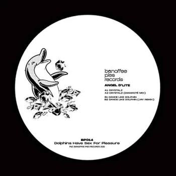 Image of ANGEL D'LITE - Dolphins Have Sex For Pleasure Vinyl