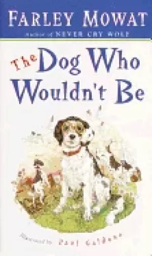 Image of dog who wouldnt be