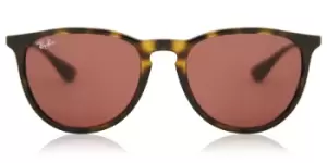 Image of Ray-Ban Sunglasses RB4171 Erika 639175