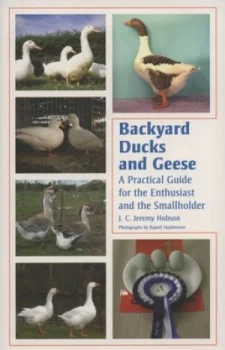 Image of Backyard Ducks and Geese by J C Jeremy Hobson Paperback
