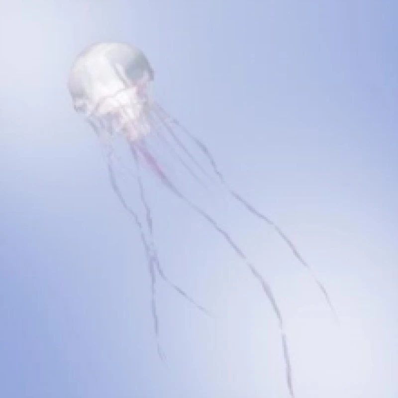 Image of Luminous (Type A) CD / Album with Bluray