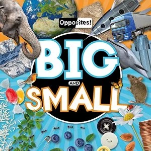 Image of Big and Small Hardback 2018