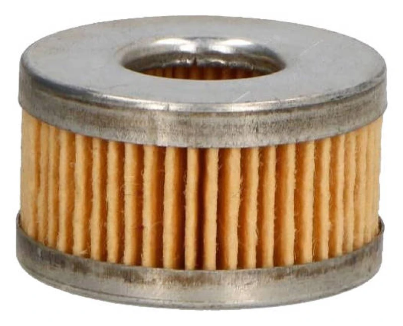 Image of ASHIKA 10-GAS19S Fuel Filter Filter Insert, Natural Gas Fuel filter (9)