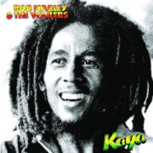 image of Bob Marley & the Wailers - Kaya 12" LP