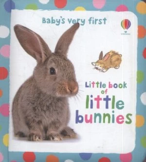 Image of Babys Very First Little Book of Little Bunnies by Antonia Miller Hardback
