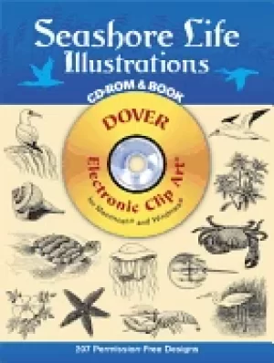 Image of seashore life illustrations
