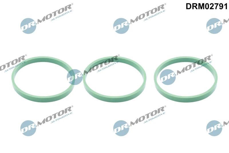 Image of DR.MOTOR AUTOMOTIVE Inlet manifold gasket DR.MOTOR AUTOMOTIVE DRM02791