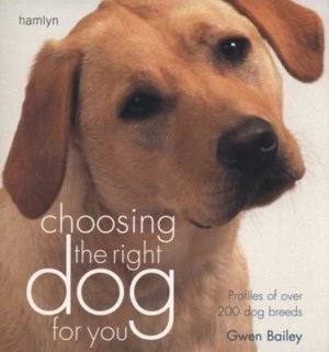Image of Choosing the Right Dog for You by Gwen Bailey Paperback