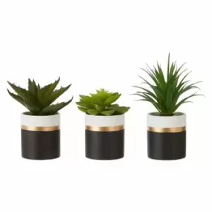 image of Interiors By Ph Set Of 3 Faux Succulents Lotus/Aloe Vera/ Ceramic Pot Black/Gold