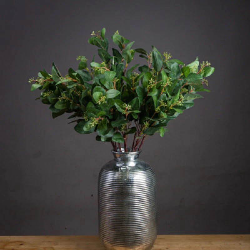 Image of Summer Seeded Eucalyptus