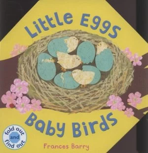 Image of Little Eggs Baby Birds by Frances Barry Hardback