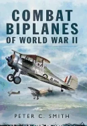 Image of combat biplanes of world war ii