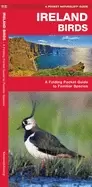 Image of ireland birds a folding pocket guide to familiar species