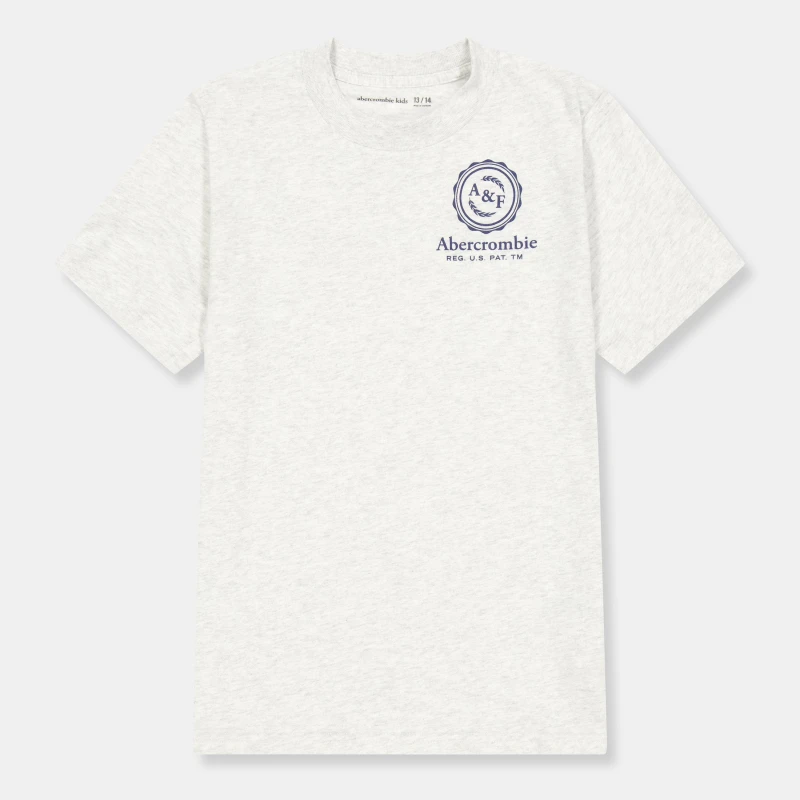 Image of Abercrombie and Fitch Kids T-Shirt Light Grey GH3 male 15-16Y