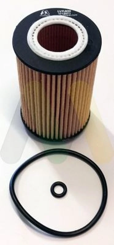 Image of MOTAQUIP Oil filter MOTAQUIP LVFL800