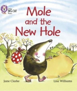 Image of Mole and the New Hole by Jane Clarke Book