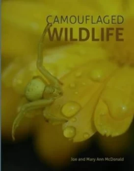 Image of Camouflaged Wildlife by Joe Mcdonald Hardback