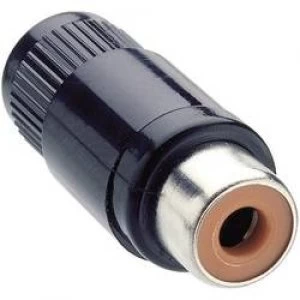 image of RCA connector Socket straight Number of pins 2 Black Lumberg KTO 1