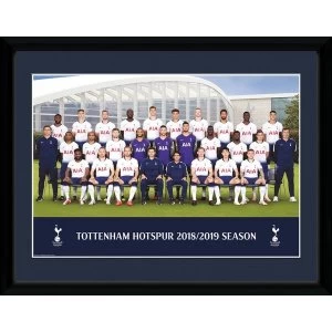 image of Tottenham Hotspur Team Photo 18/19 Collector Print