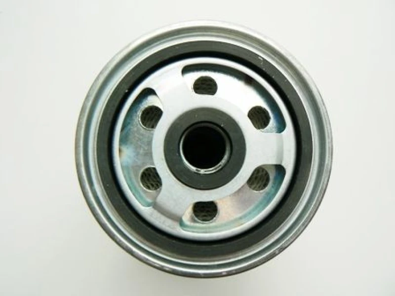 Image of MOTAQUIP Fuel filter MOTAQUIP VFF424