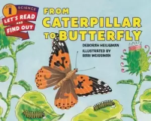 Image of From Caterpillar To Butterfly by Deborah Heiligman