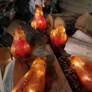 Image of 12cm Set of 5 Premier Christmas Outdoor Acrylic Robins with 30 Warm White LEDs